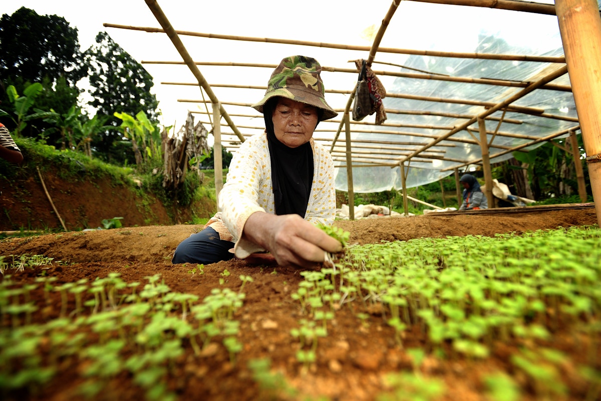 Inside the Organic Shift: How Regenerative, Consumer-Led Farming Is Reshaping Your Food