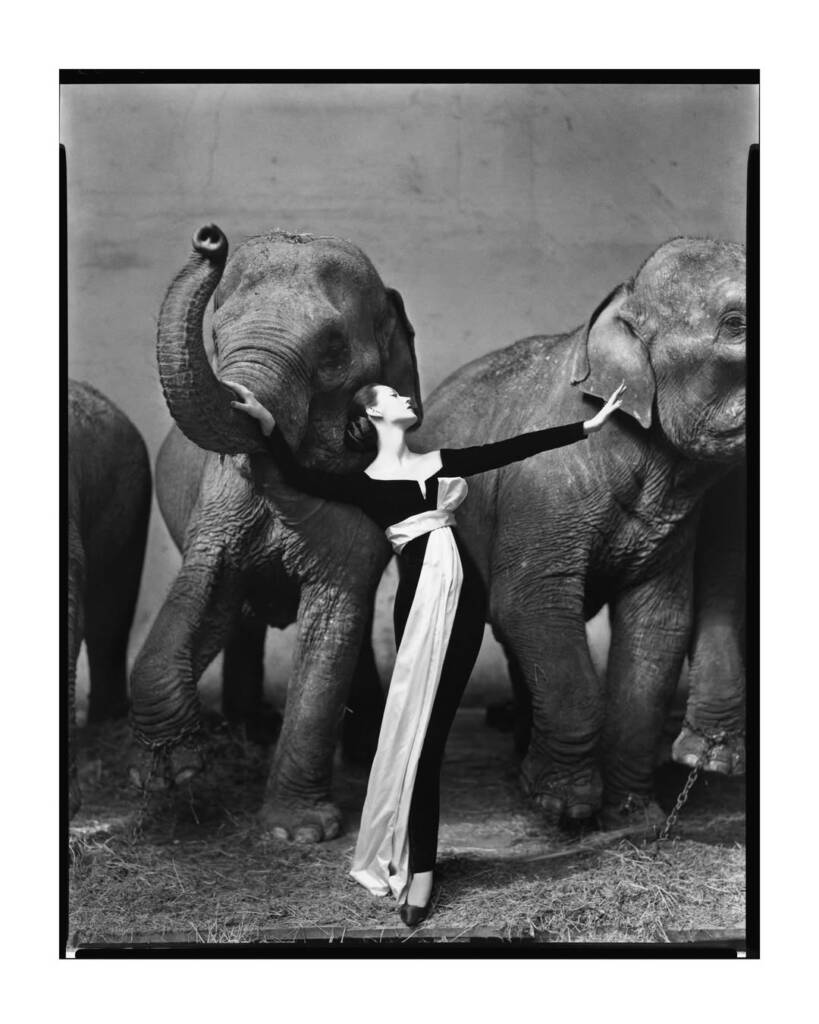 Ron Howard’s Avedon Documentary Reframes the Vision That Remade Fashion and Portrait Photography