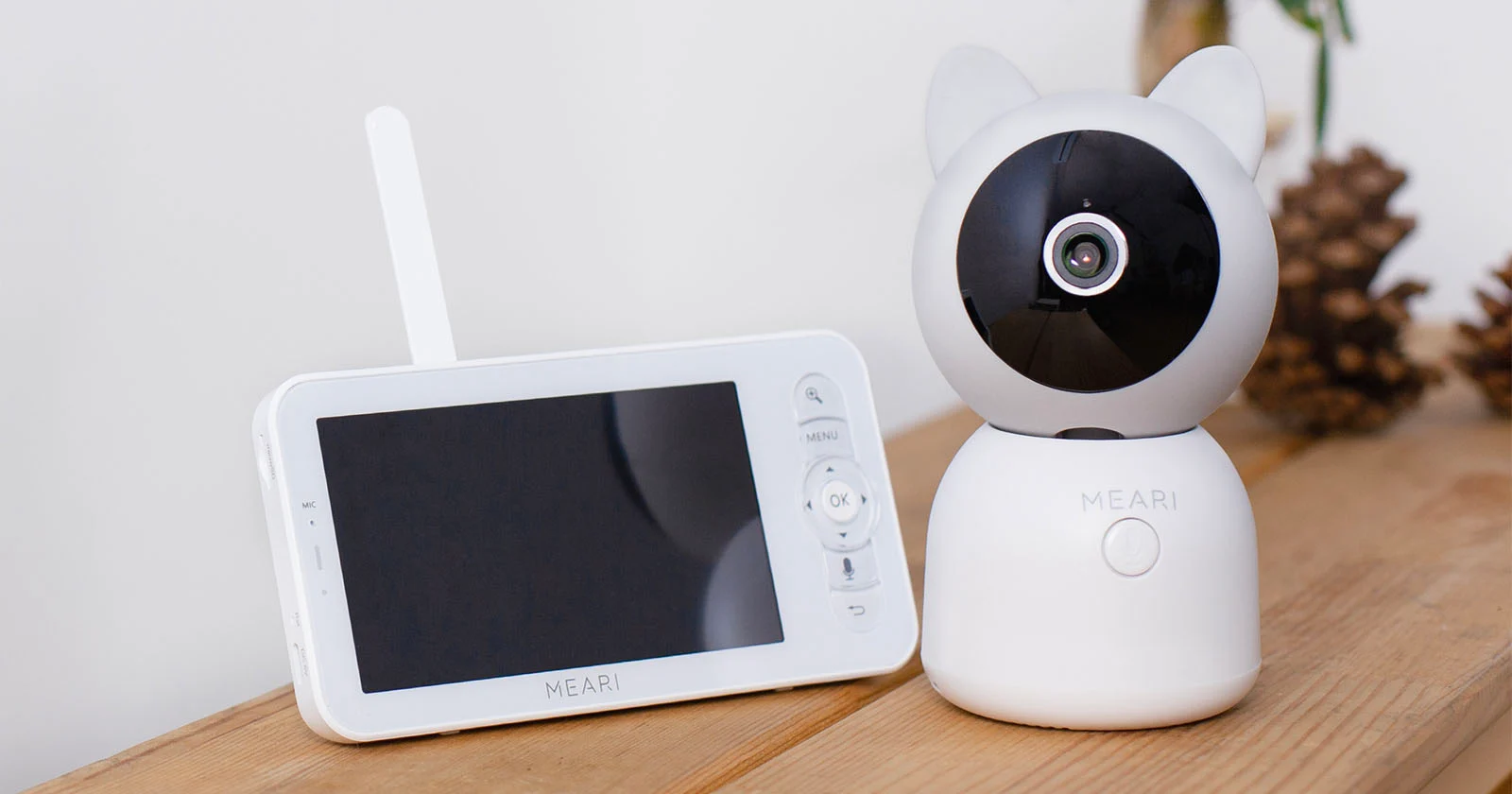 1.1 Million Families Exposed: What the Baby Monitor Security Breach Means for Your Home
