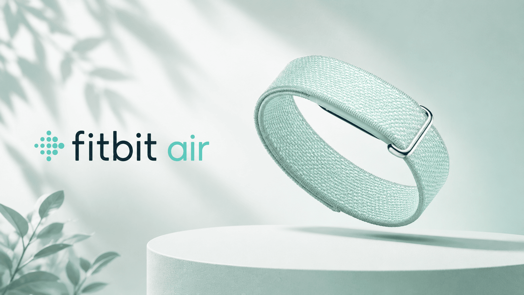 Fitbit Air’s $99 No-Subscription Strategy Takes Direct Aim at WHOOP