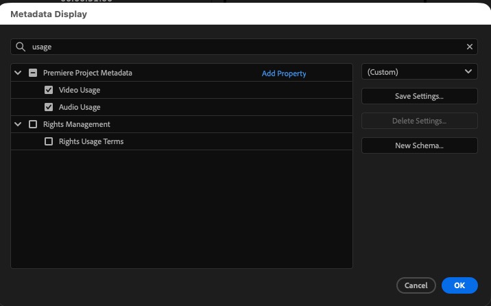 Master Premiere Pro Setup: Color Spaces, Program Monitors, and Audio/Video Workflow Essentials