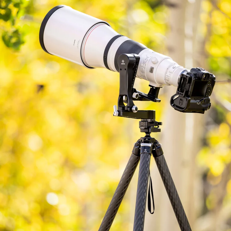 Carbon Fiber vs. Stainless Steel: Choosing the Right Support System for Location Shoots
