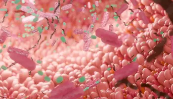 Museum Visits and Diet Tweaks Show Promise in Slowing Biological Aging
