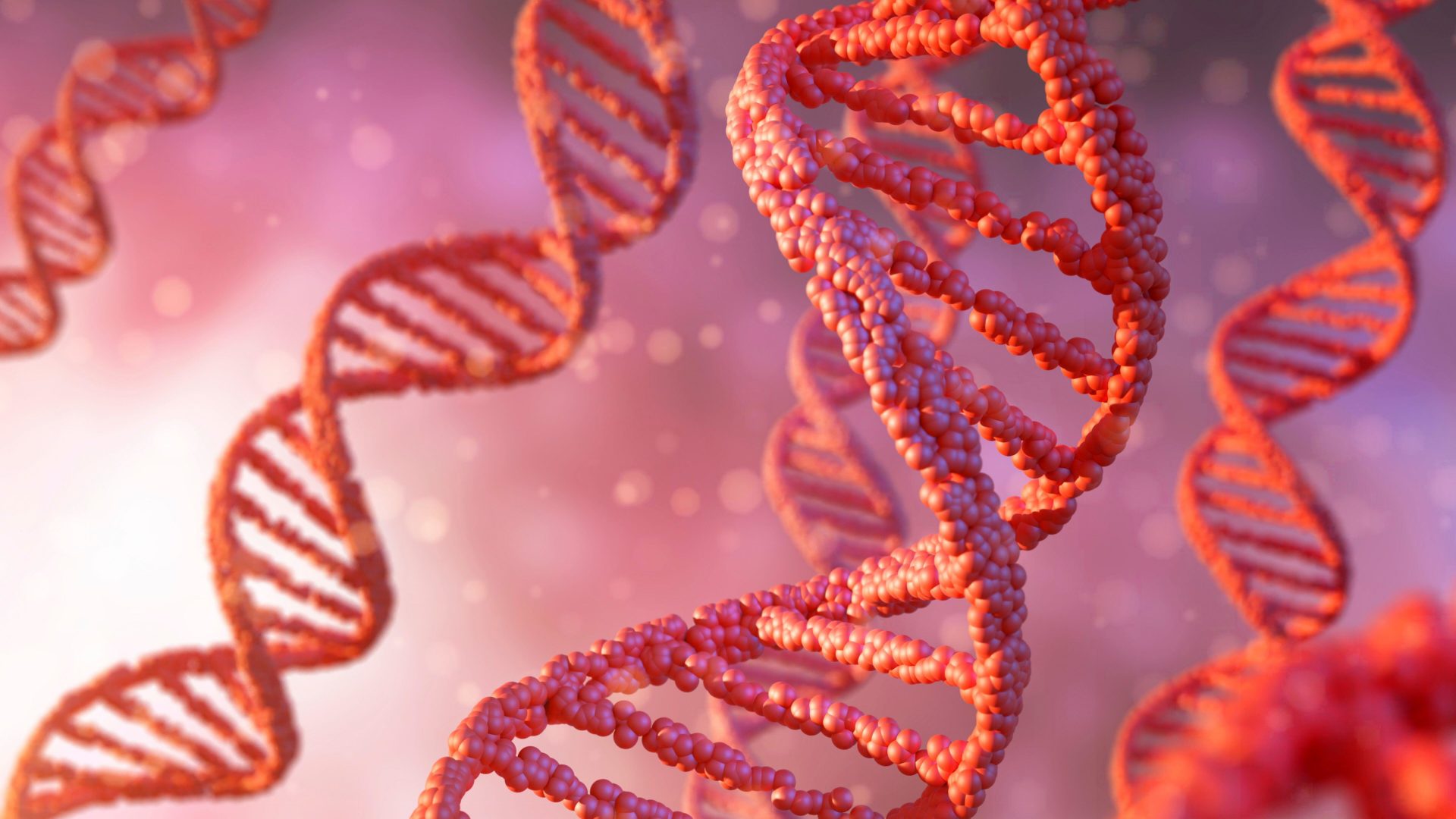 How Dietary Fiber Deficiency Increases Cancer Risk as You Age
