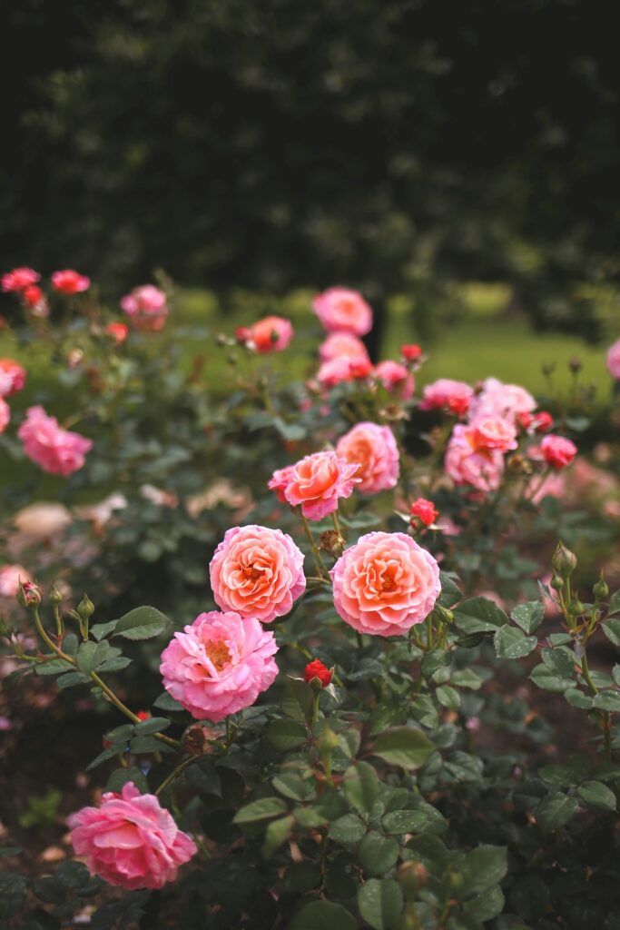 How One Clean Fragrance Brand Dethroned Luxury Perfumes on Social Media