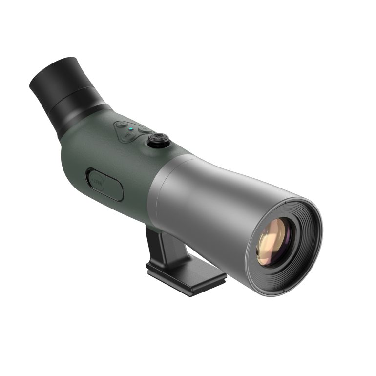 AI-Powered Bird Photography Under $800: Can Budget Cameras Match Pro Gear?