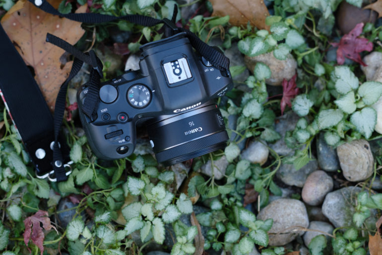 Canon vs Nikon Landscape Lenses Under $400: Which System Gives Budget Photographers Better Value?