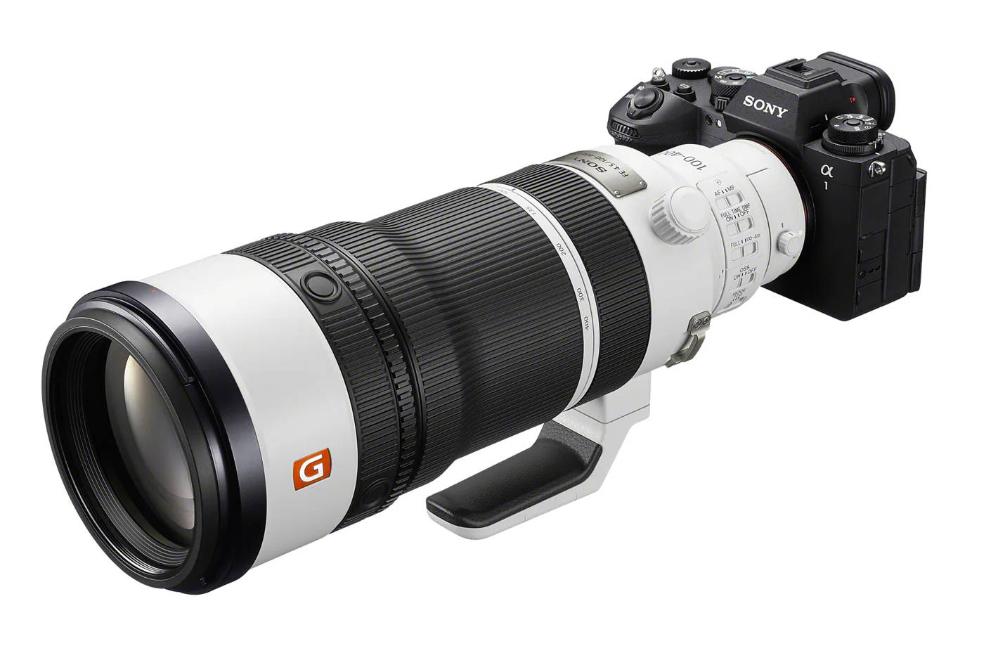Sony FE 100-400mm F4.5 GM OSS Review: Speed, Reach, and Portability for Wildlife and Sports