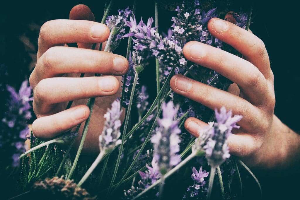 The Complete Guide to Essential Oils: What Actually Works and What’s Safe