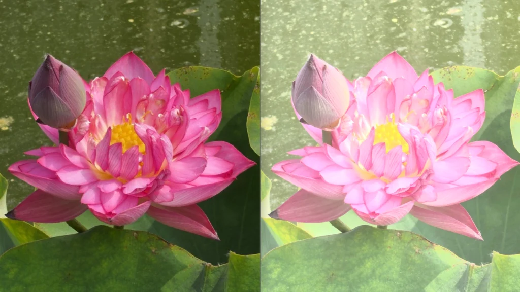 How Sony’s AI Camera Assistant Turned a Showcase into a Warning Shot