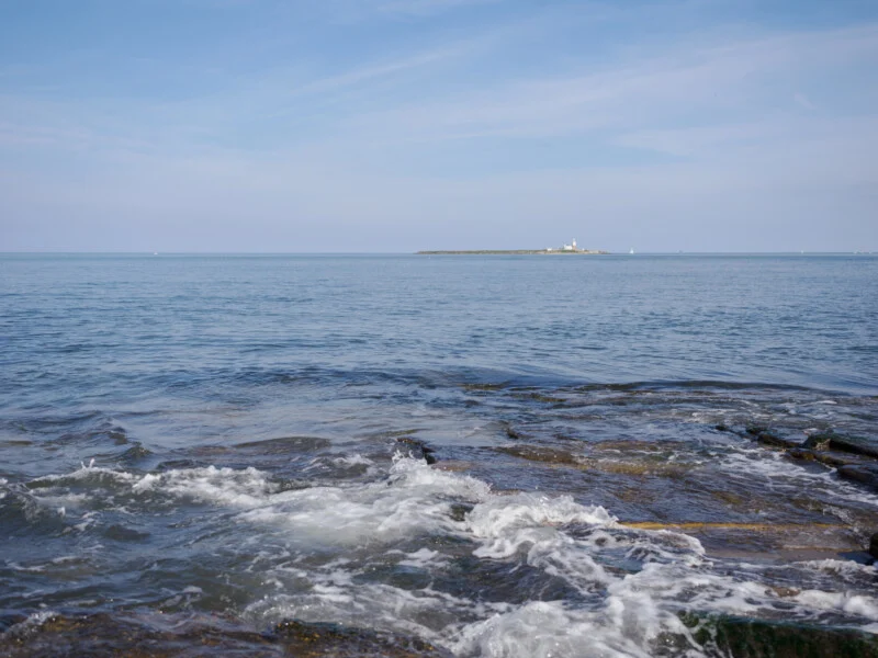 Shutter Speed Mastery: How One Camera Setting Transforms Your Photos
