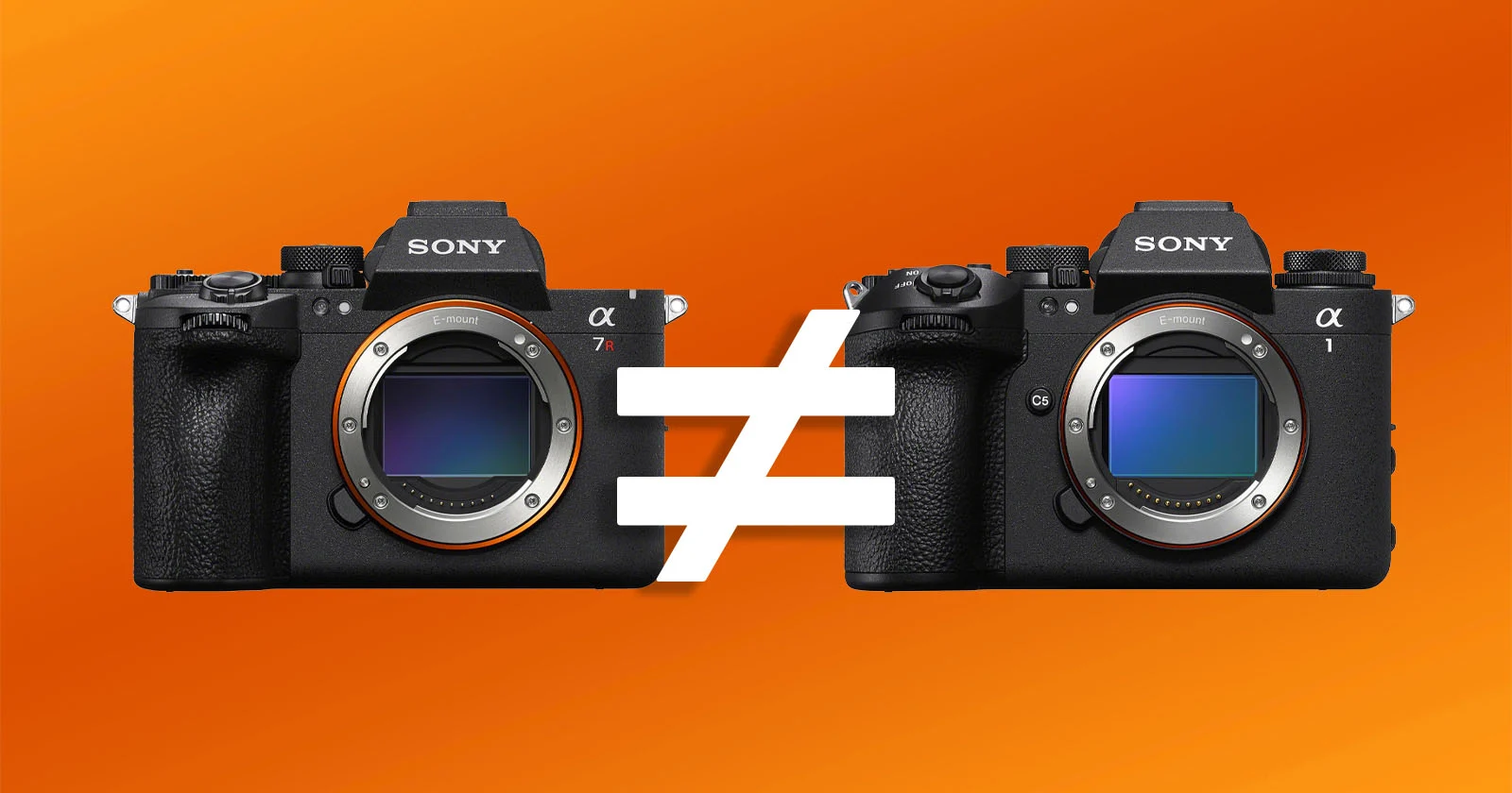 Sony a7R VI vs a1 II: Resolution and Speed on Parallel Tracks