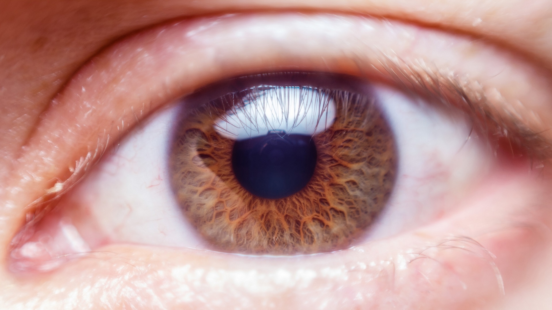 Eye Rejuvenation Planning: The Hidden Details That Determine Your Results