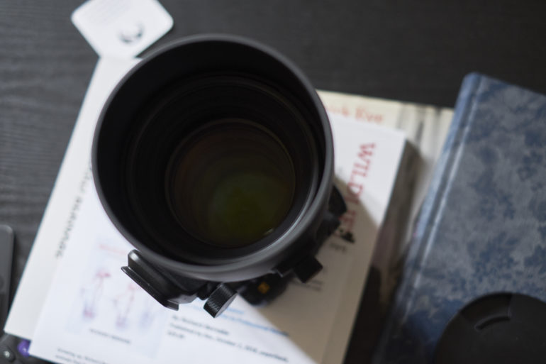 Sigma's Best Portrait Lenses for Full Frame Under $1000: Classic Options That Deliver