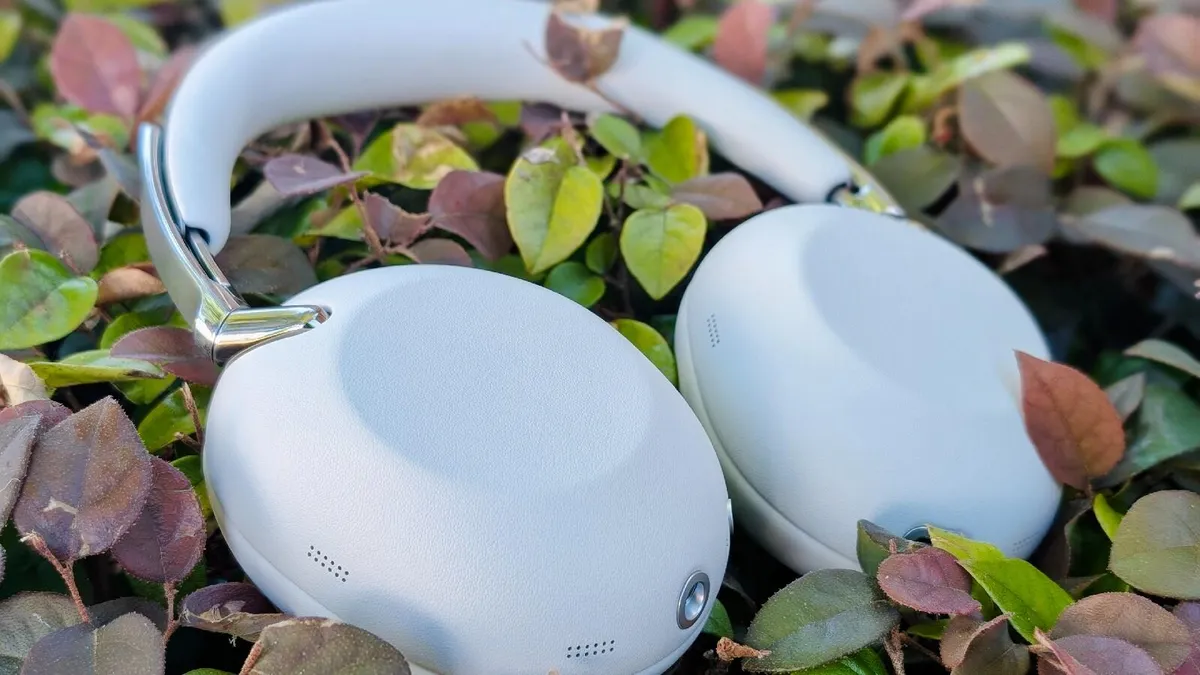 Sony 1000X The Collexion Review: Practical Luxury or Overpriced Flagship?