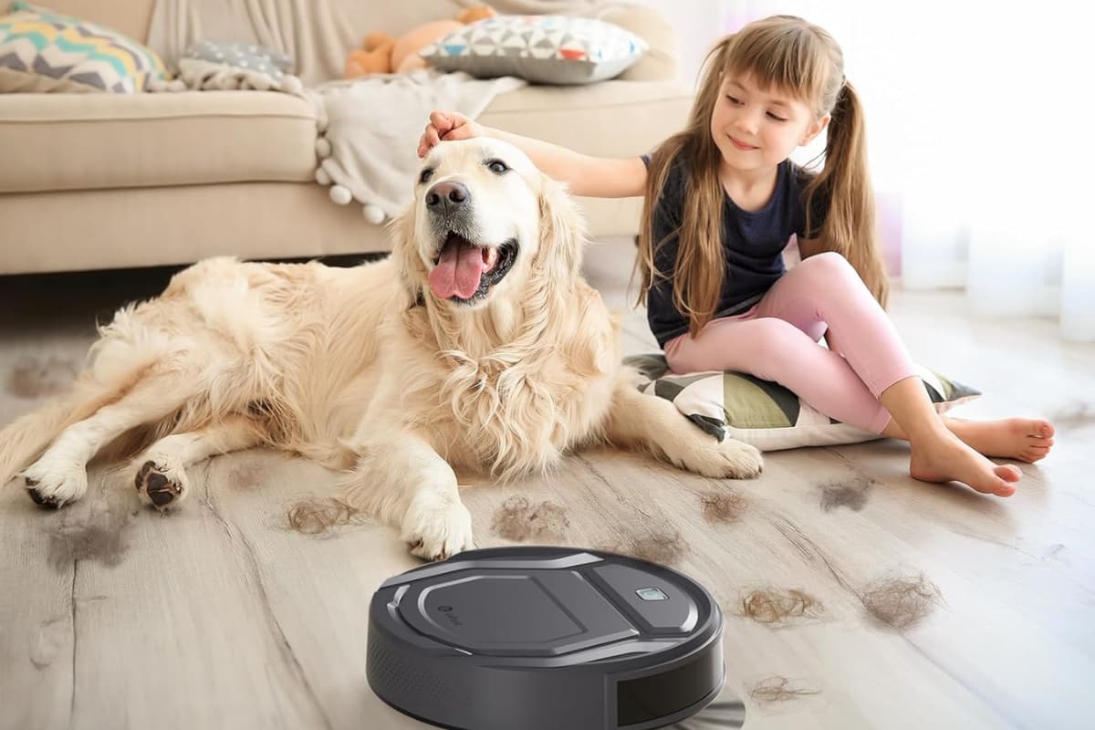 Robot Vacuums from Budget to Mid-Range: Which Features Are Worth Paying For?