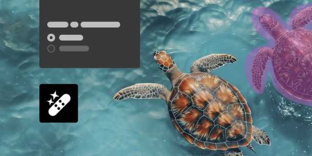 Three Big Digital Art Software Updates That Matter for Working Artists