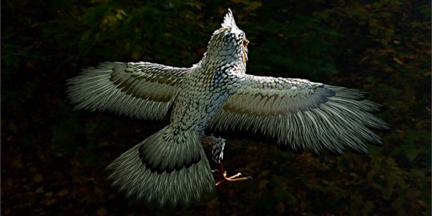 Autodesk Overhauls Its 3D Workhorses: What’s New in 3ds Max and Maya 2027.1
