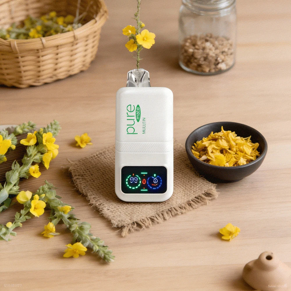 How Technology Is Reshaping the Modern Wellness Home