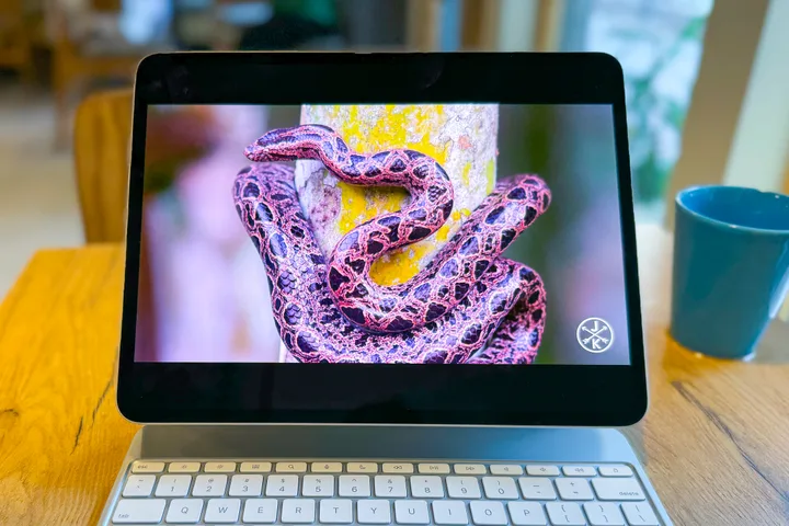 Samsung’s 90% OLED Yield Breakthrough Brings the OLED MacBook Pro Within Reach