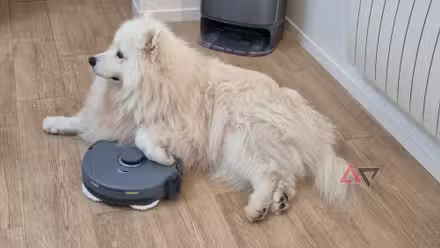 Mid-Range Robot Vacuums Now Rival Flagships: Narwal vs. Roborock