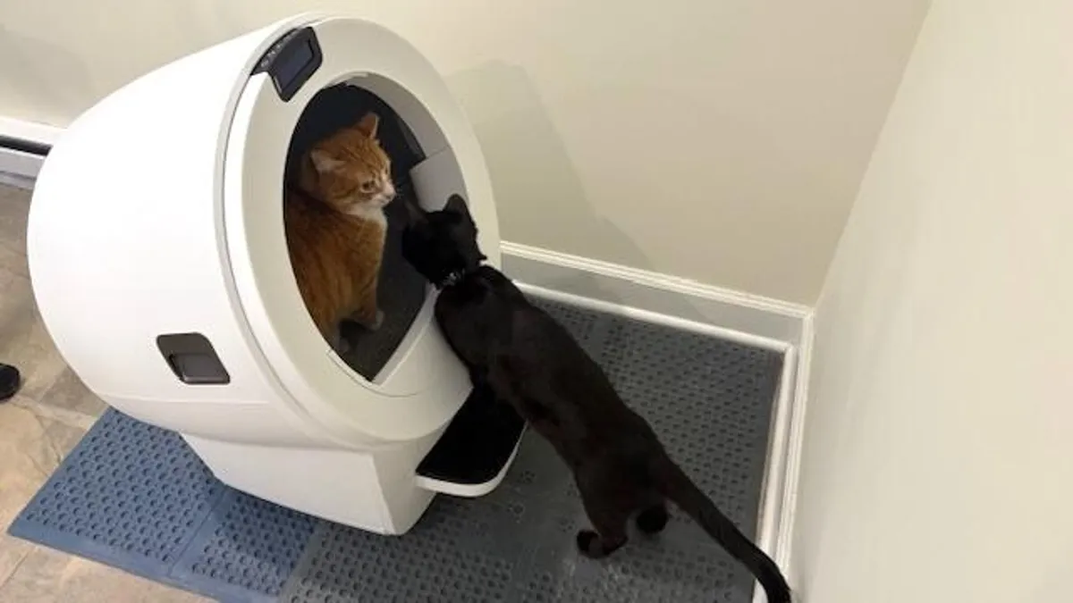 Robot Litter Boxes and Smart Pet Gadgets Drop to Memorial Day Lows: What Actually Works