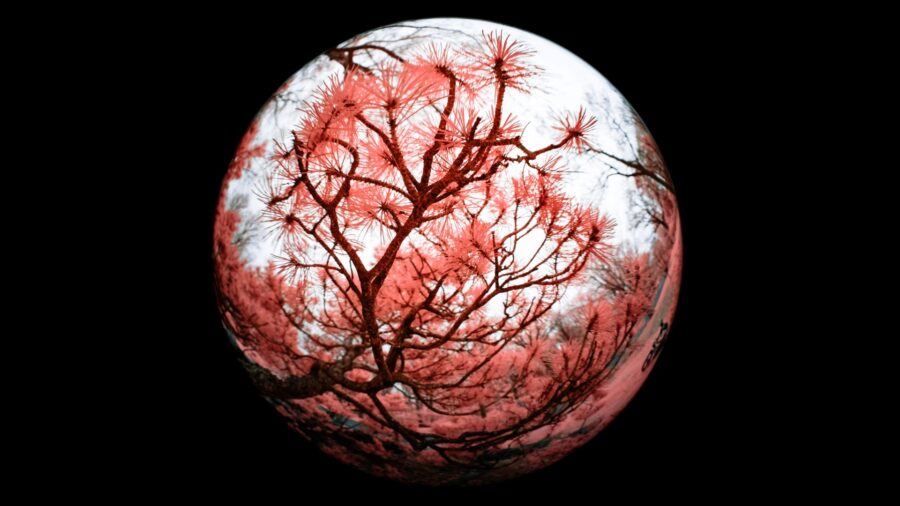 Laowa’s 4.5–10mm Fisheye Zoom Shrinks Dual Perspectives into a Pocket-Sized Creative Tool
