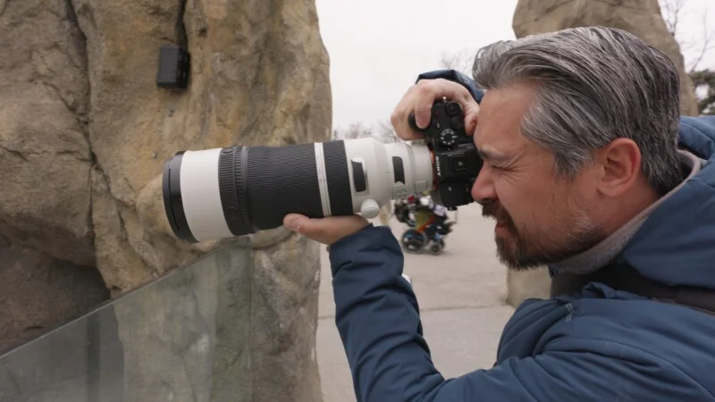 Sony’s 100-400mm f/4.5 GM OSS Lens: The Mid-Range Wildlife Zoom That Bridges the Gap