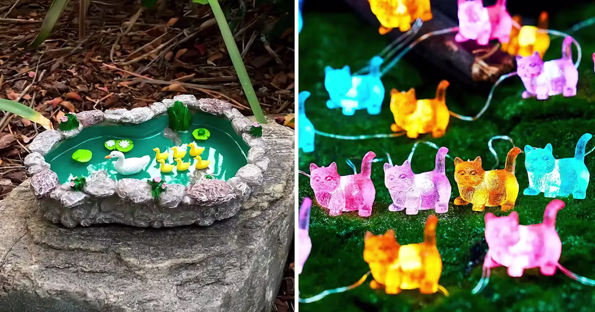 50+ Weirdly Wonderful Amazon Finds Under $30 That Actually Work