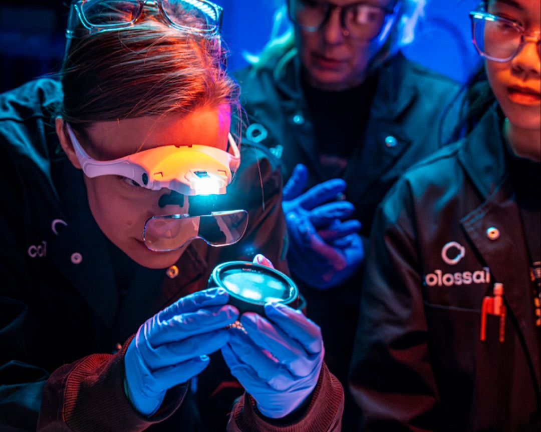 Inside the 3D Printed Egg That’s Hatching De-Extinction Dreams