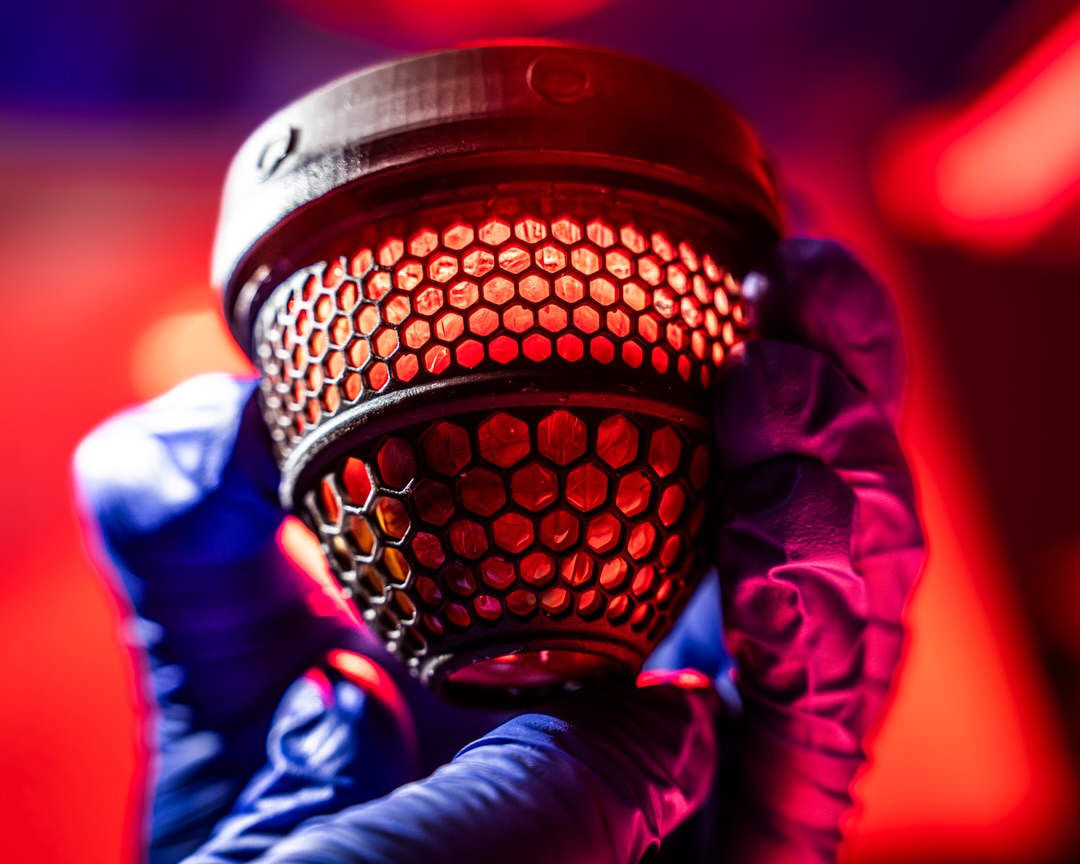 Inside the 3D Printed Egg That’s Hatching De-Extinction Dreams
