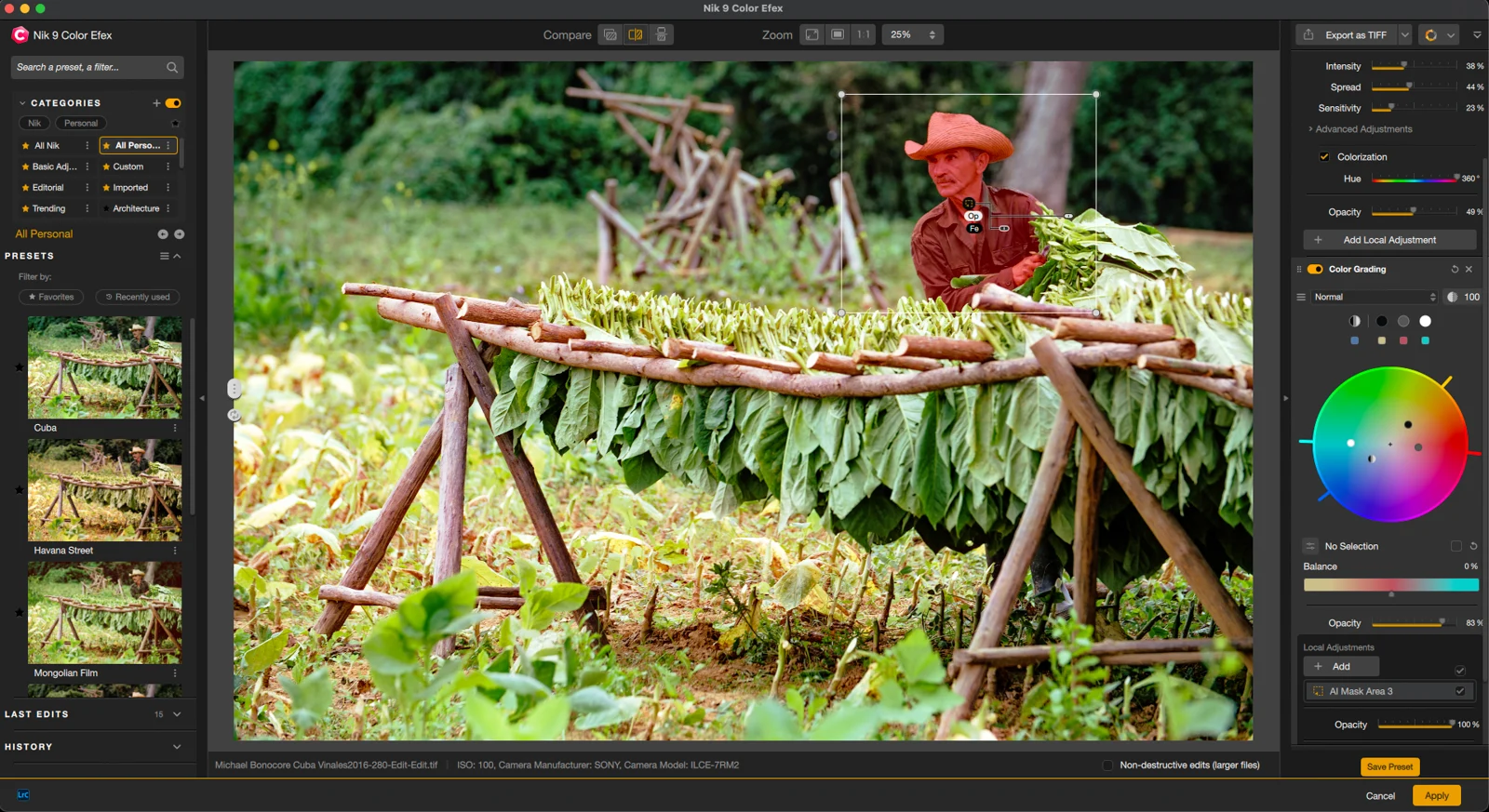 Why Nik Collection 9 Cuts Editing Time Without Cutting Quality
