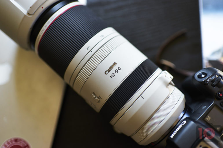 Canon vs Nikon vs Fujifilm: Best Camera Kits for Bird Photography