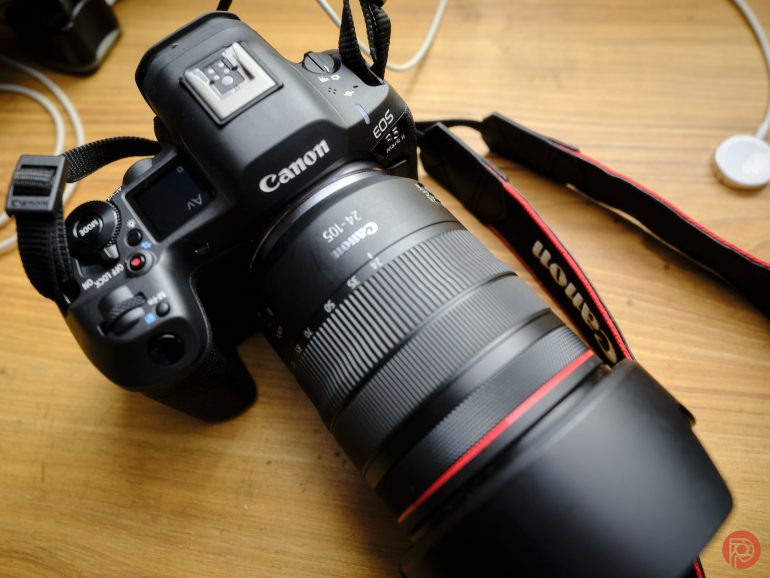 Canon vs Nikon vs Fujifilm: Best Camera Kits for Bird Photography