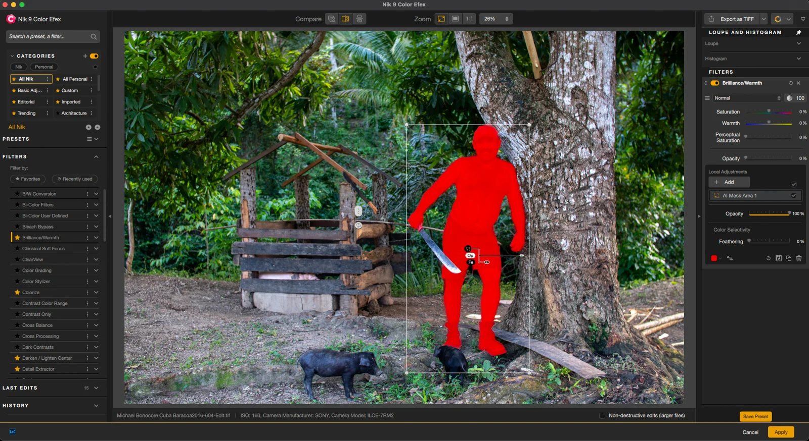 Nik Collection 9 Solves 8 Everyday Editing Headaches