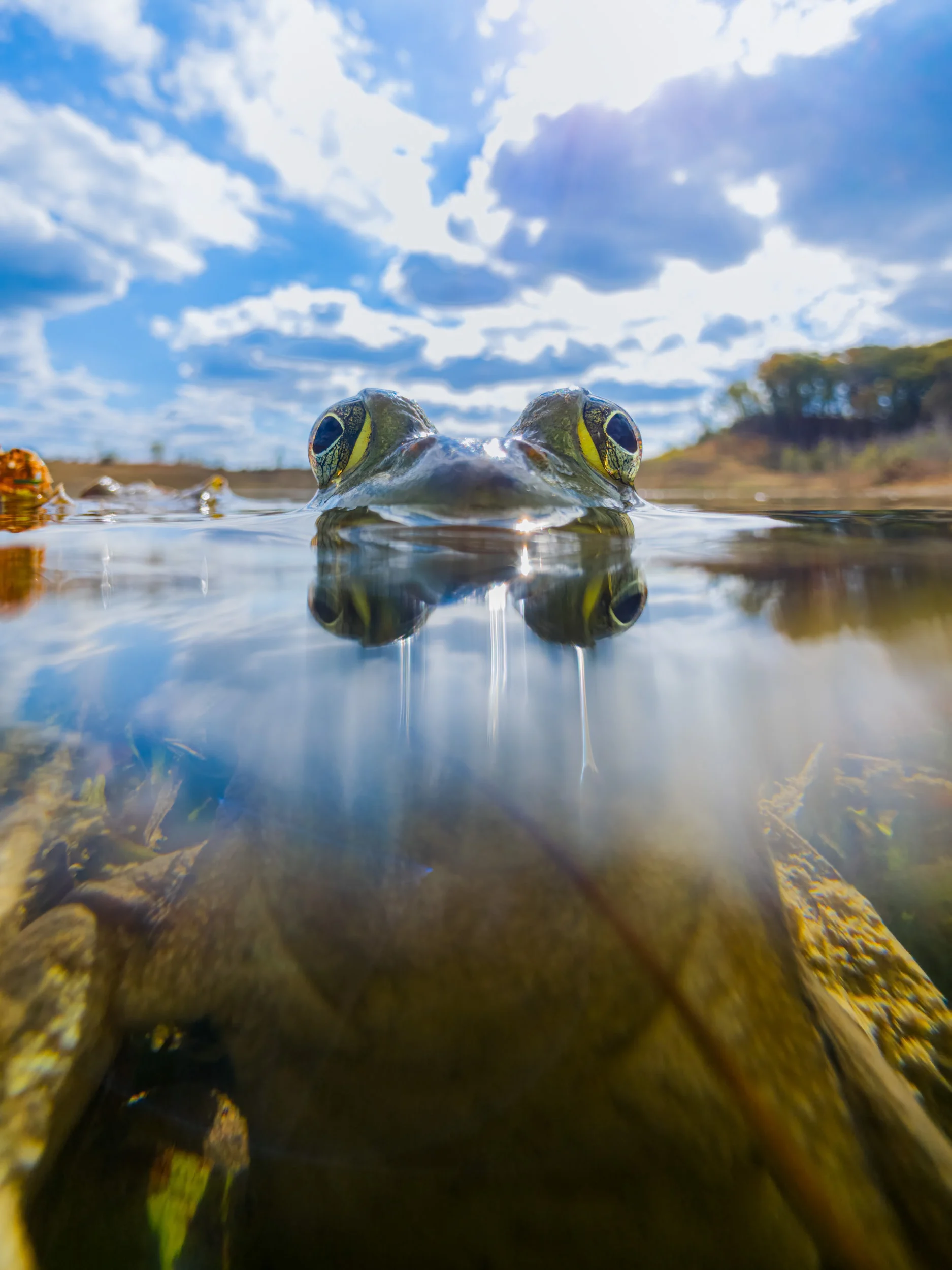 Award-Winning Photographer Validates Flagship Phone Cameras for Professional Work
