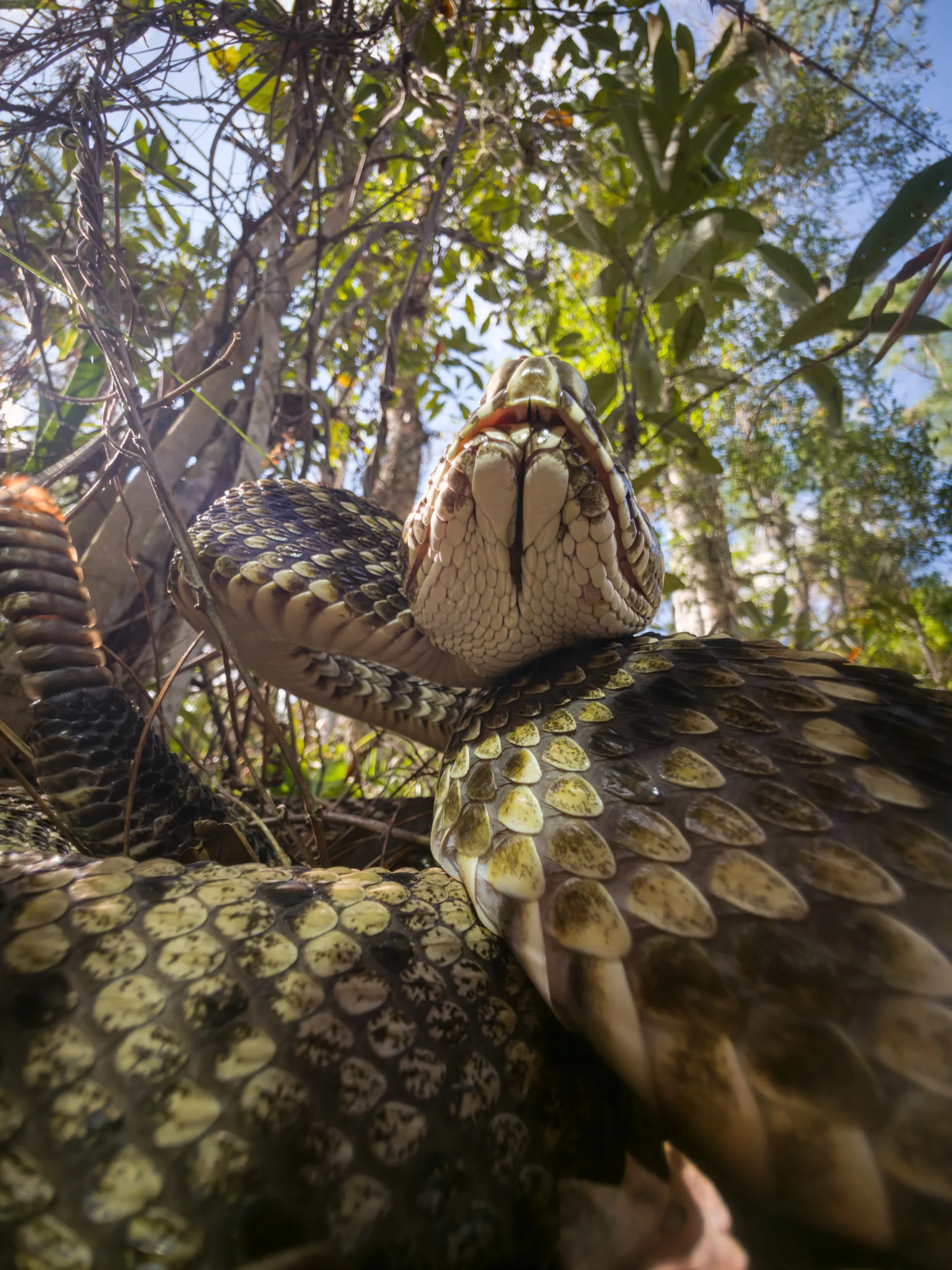 Award-Winning Photographer Validates Flagship Phone Cameras for Professional Work