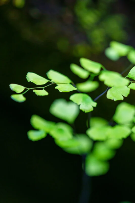 Build Your First Macro Kit Without Overspending