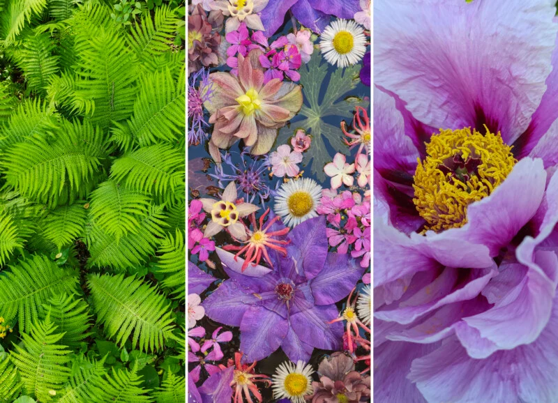 Xiaomi 17T Pro Review: Leica 5x Periscope Zoom Without the Flagship Premium