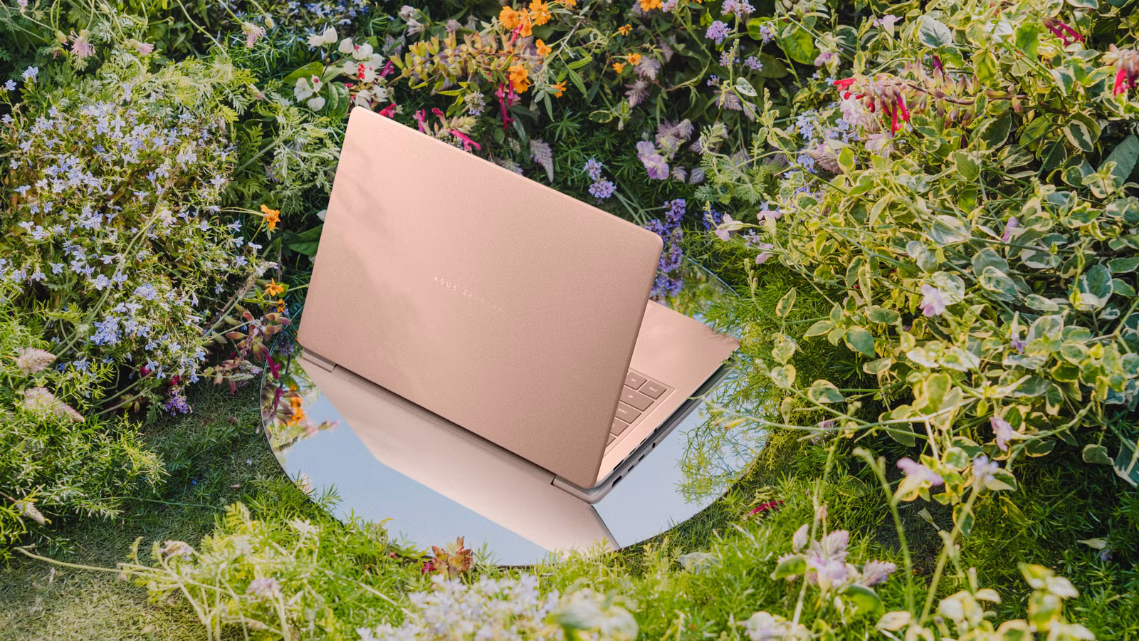 ASUS Zenbook 14 Snapdragon X1 at $799 Pushes Premium Ultrabooks Downmarket