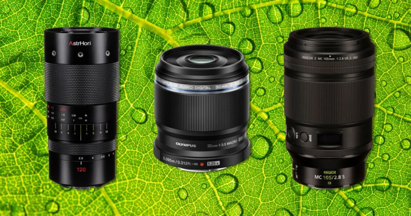 Master Macro Photography on a Budget: Gear, Lighting and Setup Tips for Beginners
