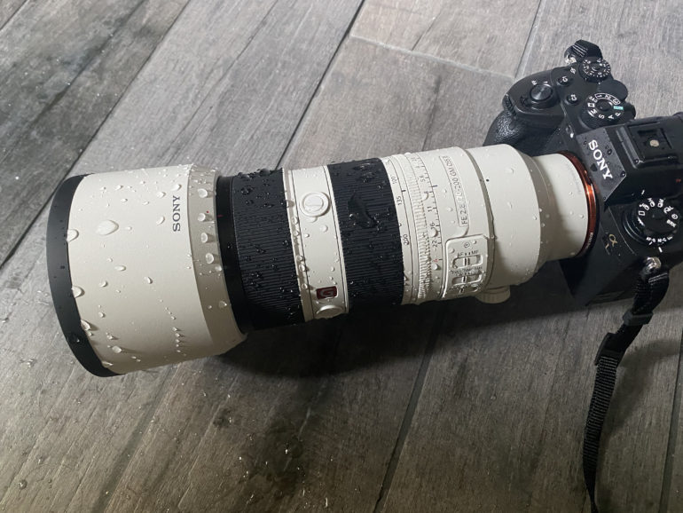 5 Portrait Lenses That Deliver Beautiful Bokeh on a Budget