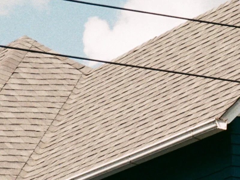 Two New Color Film Stocks Are Shaking Up Analog Photography