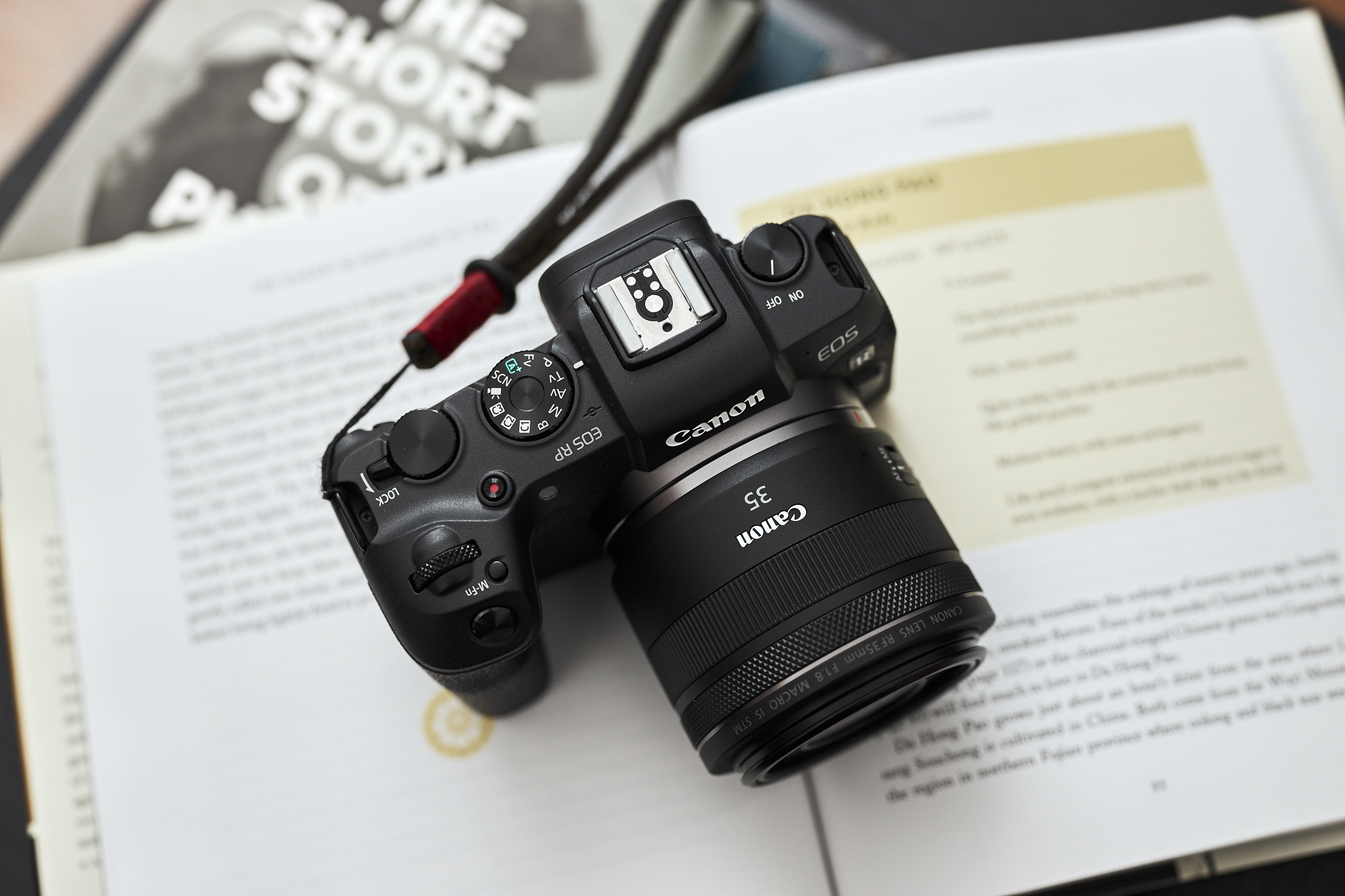 Canon’s Next RF Macro Lens Could Open the Door to Affordable Close-Ups