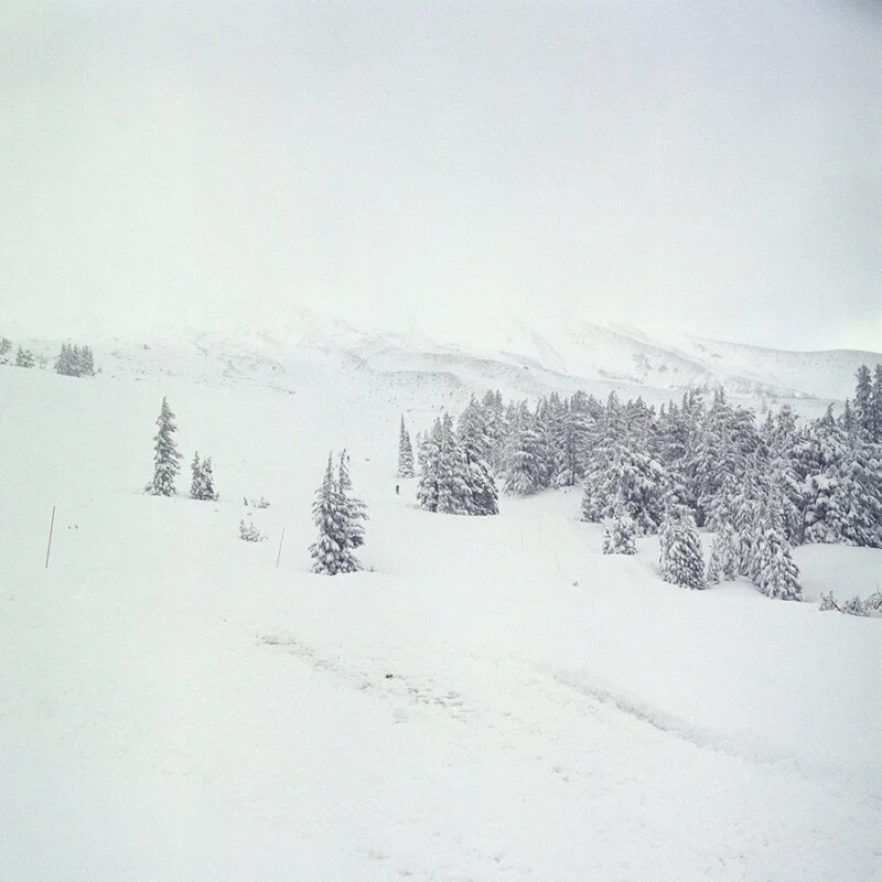 Two New Color Film Stocks Are Shaking Up Analog Photography