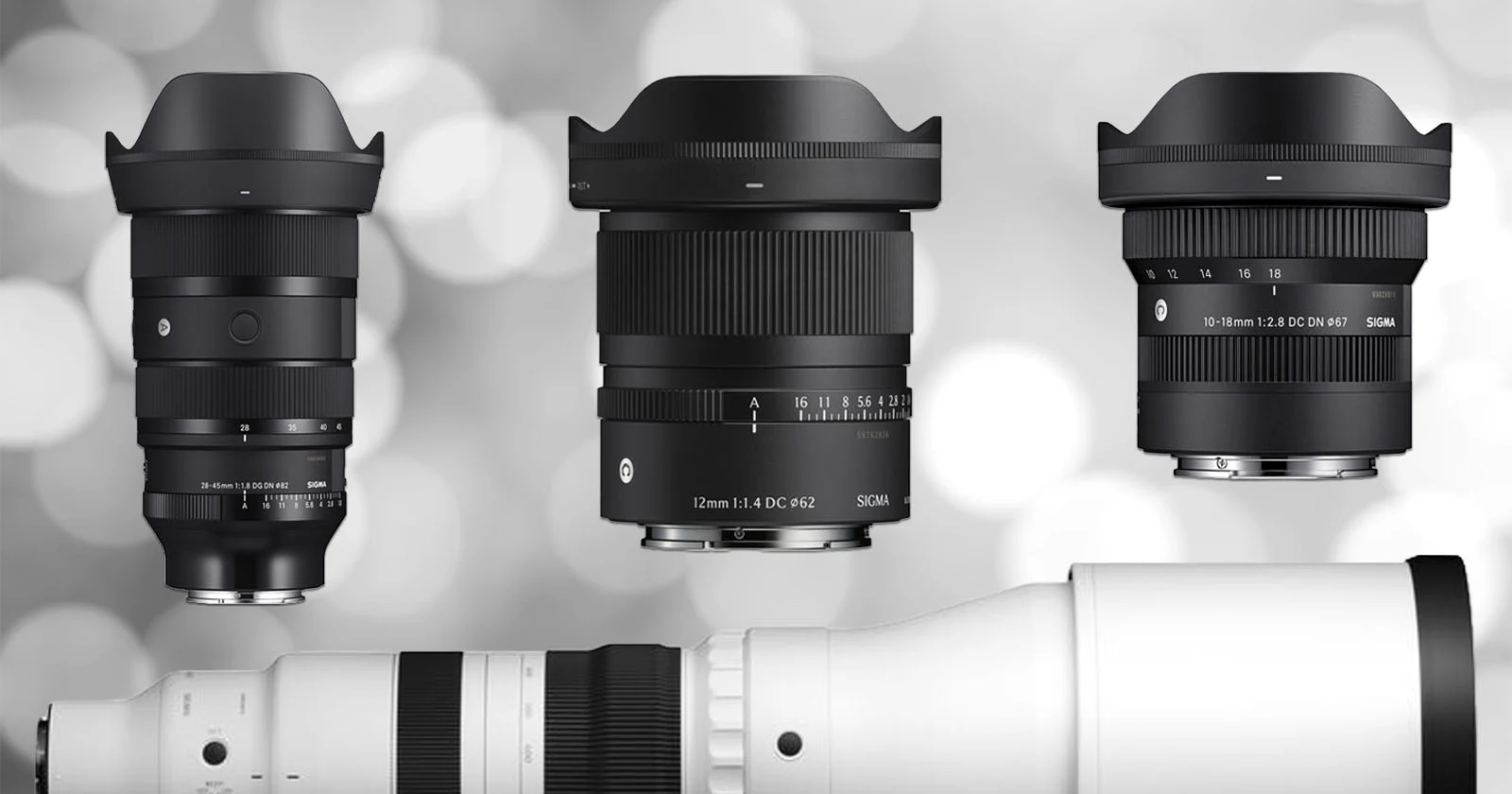 Best Affordable Third-Party Zoom Lenses Under $2000: Tamron and Sigma Compared