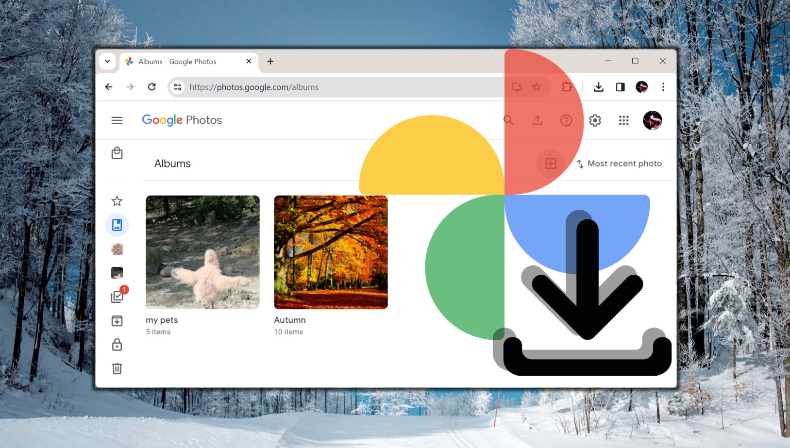 Google Photos Incremental Exports Make Local Backups Practical