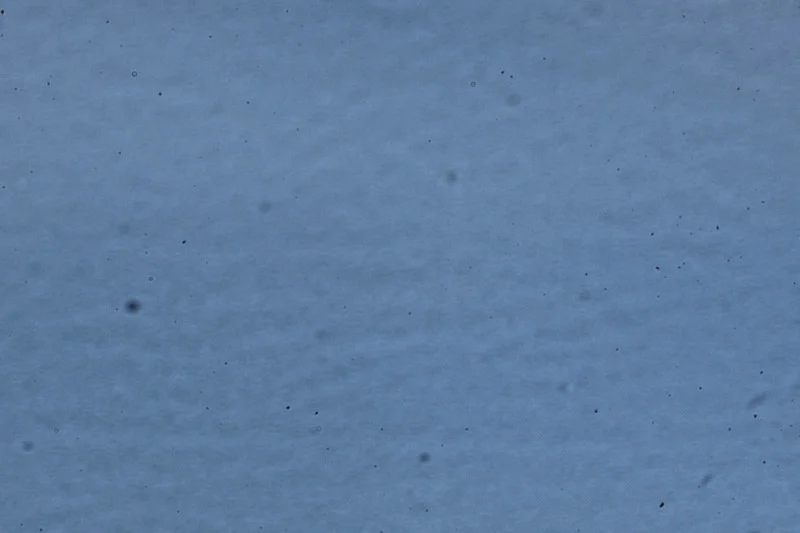 Dust Inside Your Camera Is Inevitable—Here’s How to Manage It