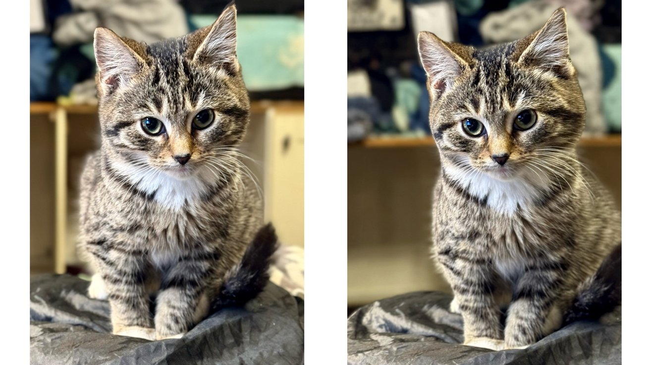How to Use Spatial Reframing to Fix Bad iPhone Photos