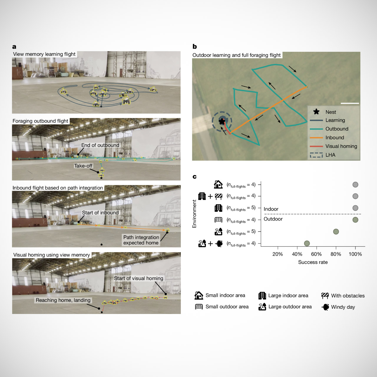 Flying Squirrels and Bee Brains: Nature-Inspired Drones Take Off